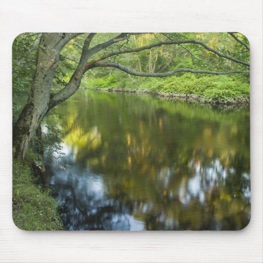 Der Fluss Taunton in Bridgewater, Mousepad (Vorne)