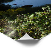 Der Fluss Tioga Poster (Ecke)