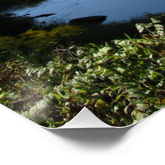 Der Fluss Tioga Poster (Ecke)