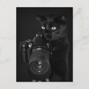 Der Fotograf - Postkarte