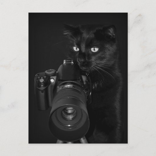 Der Fotograf - Postkarte (Vorderseite)