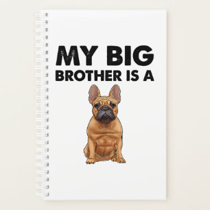 Der französische Bulldog, mein großer Bruder, ist  Planer