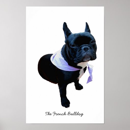 Der französische Bulldog Poster (Vorne)