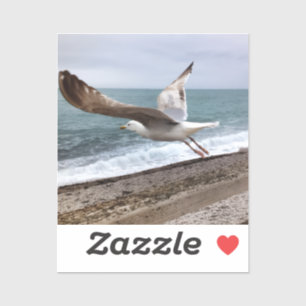 Der französische Möwe von Étretat Aufkleber