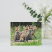 Der freie Denkfuchs Postkarte (Stehend Vorderseite)