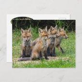 Der freie Denkfuchs Postkarte (Vorne/Hinten)