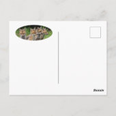 Der freie Denkfuchs Postkarte (Rückseite)