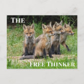Der freie Denkfuchs Postkarte (Vorderseite)