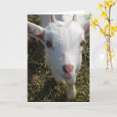 Der freundliche Ziege Karte (Gelbe Blume)