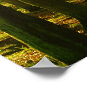 "Der Frieden der Natur fließt in dich ein" Zitat J Poster (Ecke)