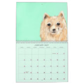 Der Friedenskalender Gottes Kalender (Jan 2027)