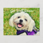 Der frisch grüne Hund und die Ermutigung werden gu Postkarte (Vorderseite)