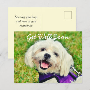 Der frisch grüne Hund und die Ermutigung werden gu Postkarte