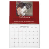Der frohe Kalender des Springer-2014 (Feb 2027)