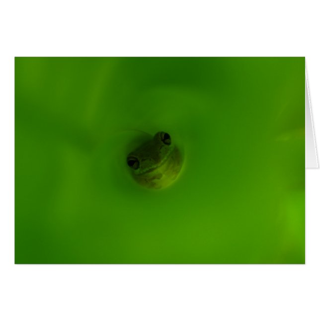Der Frosch (Vorderseite (Horizontal))