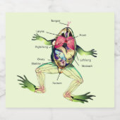 Der Frosch ist grün Bierflaschenetikett (Einzelnes Label)