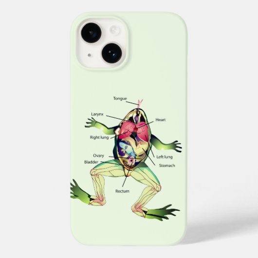 Der Frosch ist grün Case-Mate iPhone Hülle (Rückseite)