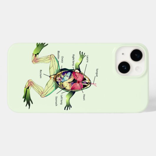 Der Frosch ist grün Case-Mate iPhone Hülle (Rückseite (Horizontal))