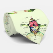 Der Frosch ist grün Krawatte (Gerollt)