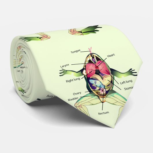 Der Frosch ist grün Krawatte (Gerollt)