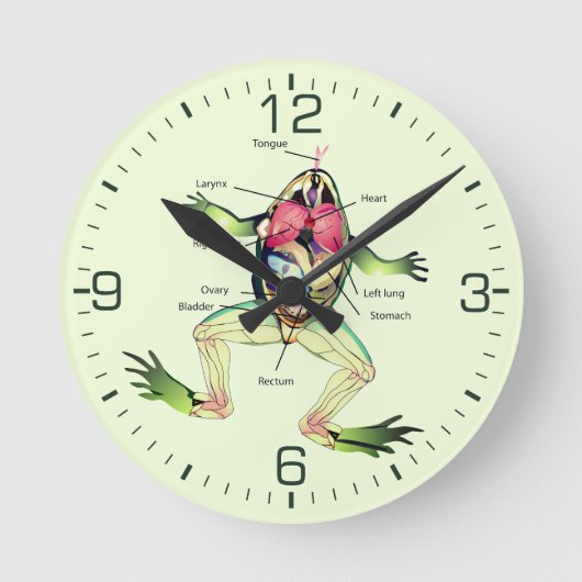 Der Frosch ist grün Runde Wanduhr (Vorderseite)