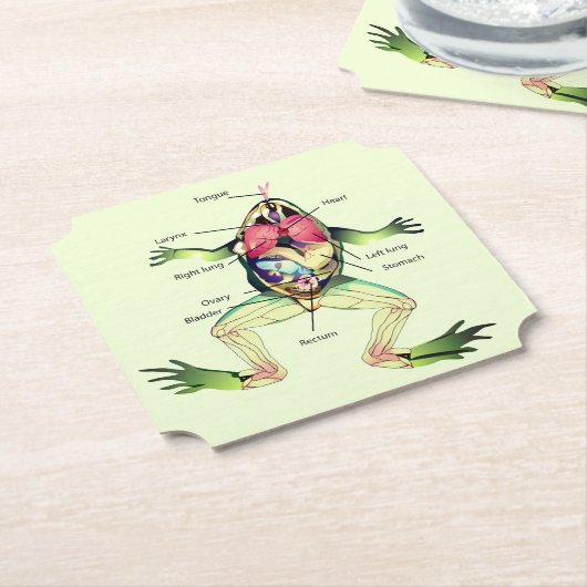 Der Frosch ist grün Untersetzer (angewinkelt)