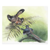 Der früheste Vogel Fotodruck (Vorne)