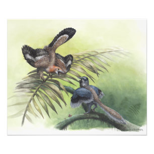 Der früheste Vogel Fotodruck