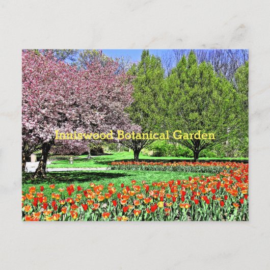 "DER FRÜHJAHR KOMMT IN DEN BOTANISCHEN GARTEN AUS  POSTKARTE (Vorderseite)