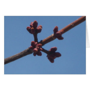 Der Frühling beginnt zu entstehen
