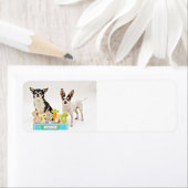 Der Frühling Chihuahuas (Insitu)