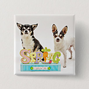 Der Frühling Chihuahuas Button