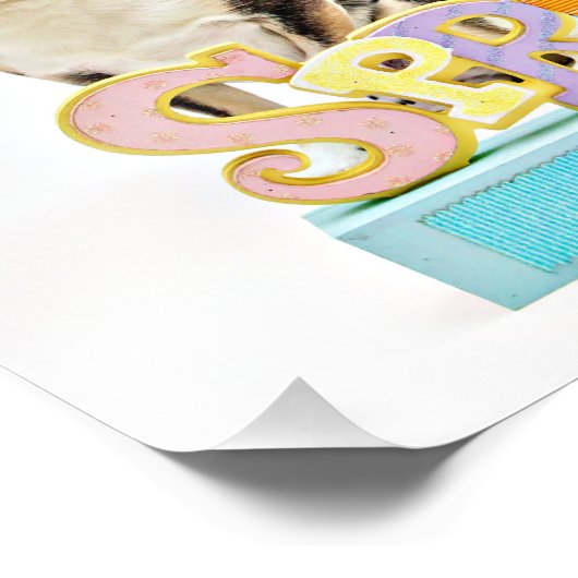 Der Frühling Chihuahuas Fotodruck (Ecke)