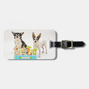 Der Frühling Chihuahuas Gepäckanhänger