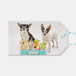 Der Frühling Chihuahuas Geschenkanhänger