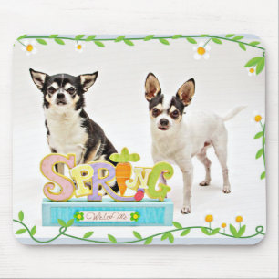Der Frühling Chihuahuas Mousepad
