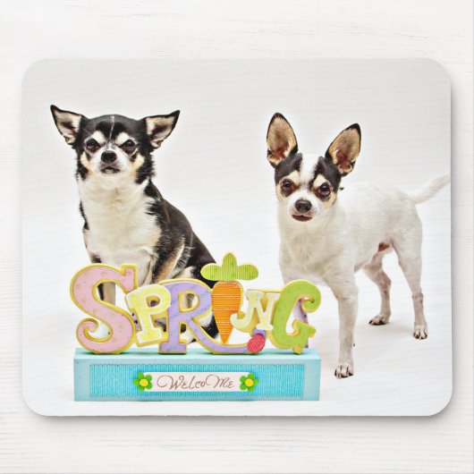 Der Frühling Chihuahuas Mousepad (Vorne)