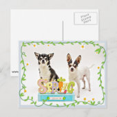 Der Frühling Chihuahuas Postkarte (Vorne/Hinten)