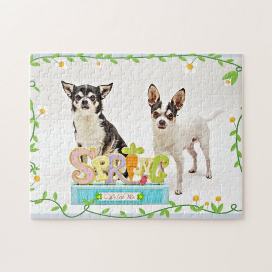 Der Frühling Chihuahuas Puzzle (Horizontal)