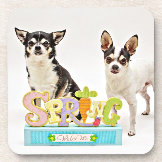 Der Frühling Chihuahuas Untersetzer (Vorderseite)