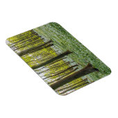 Der Frühling im Leben Magnet (Rechte Seite)