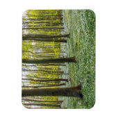 Der Frühling im Leben Magnet (Vertikal)