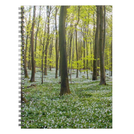 Der Frühling im Leben Notizblock (Vorderseite)