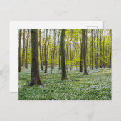 Der Frühling im Leben Postkarte (Vorne/Hinten)