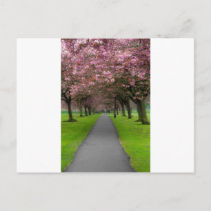 Der Frühling im Park Postkarte