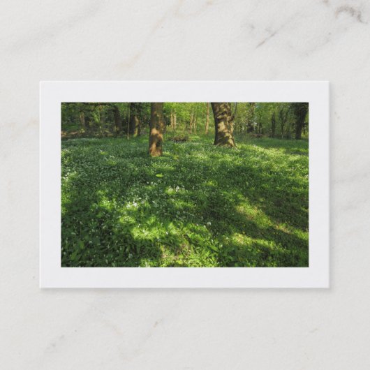 Der Frühling im Wald (grenzt) Visitenkarte (Vorderseite)