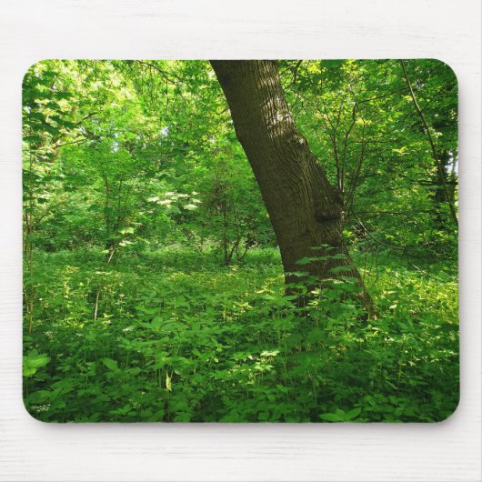 Der Frühling im Wald Mousepad (Vorne)
