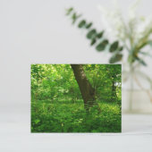 Der Frühling im Wald Postkarte (Stehend Vorderseite)