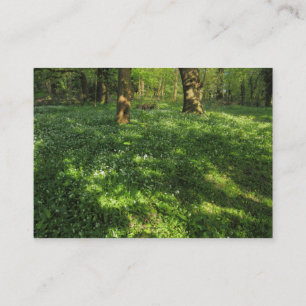 Der Frühling im Wald Visitenkarte