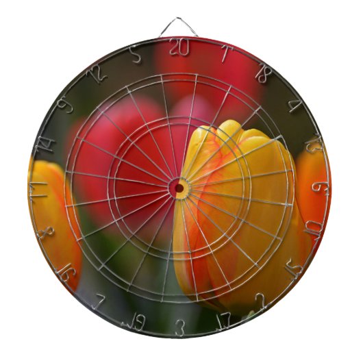 Der Frühling in Farben Dartscheibe (vorne)